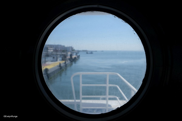 3 Runge Copyright DSCF4702.Jpg